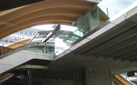cimg0855_03