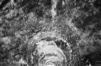 fountain