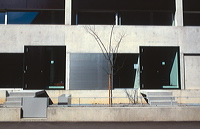 grey_front